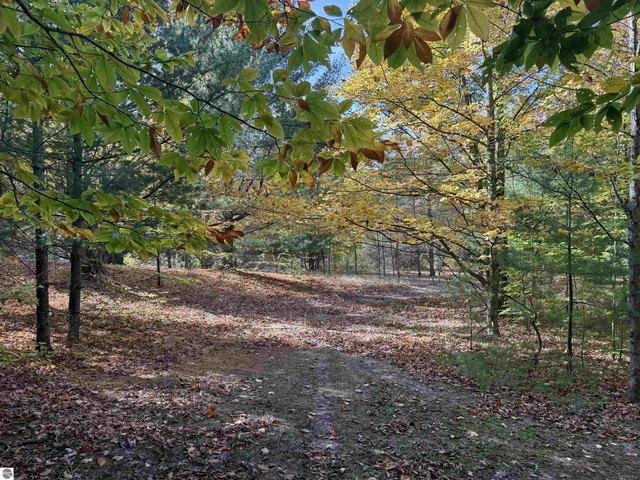 Land for sale in Maple City, Kasson Township
