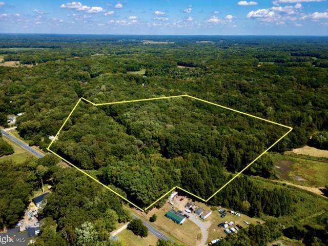 Land for sale in Henderson, Maryland