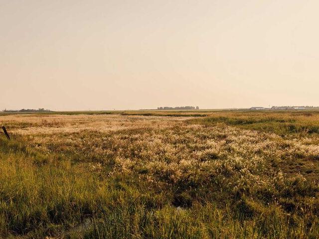 Land for sale in Alberta