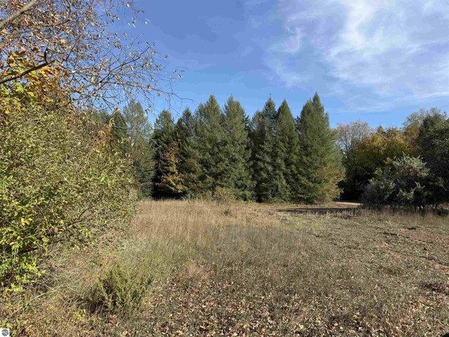 Land for sale in Maple City, Kasson Township