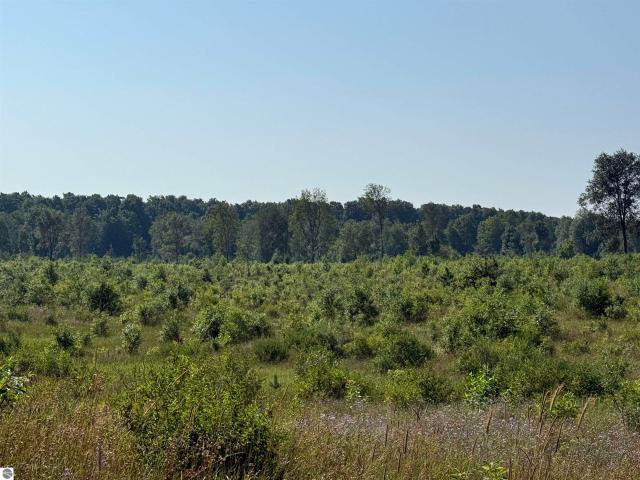 Land for sale in Michigan
