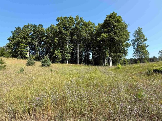 Land for sale in Michigan