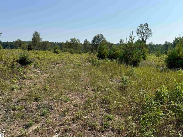 Land for sale in Michigan