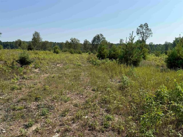 Land for sale in Michigan
