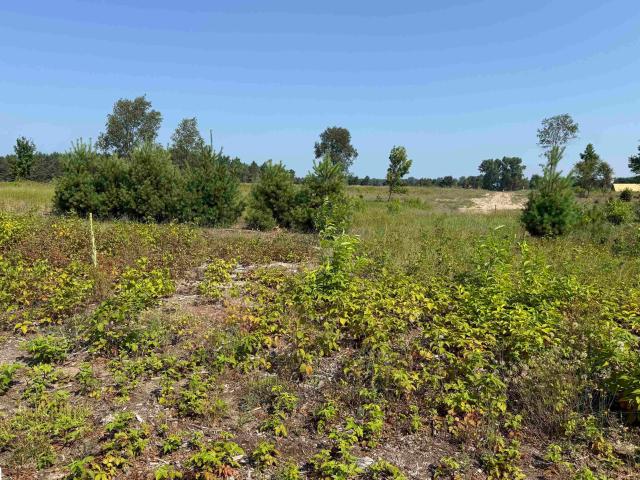 Land for sale in Michigan