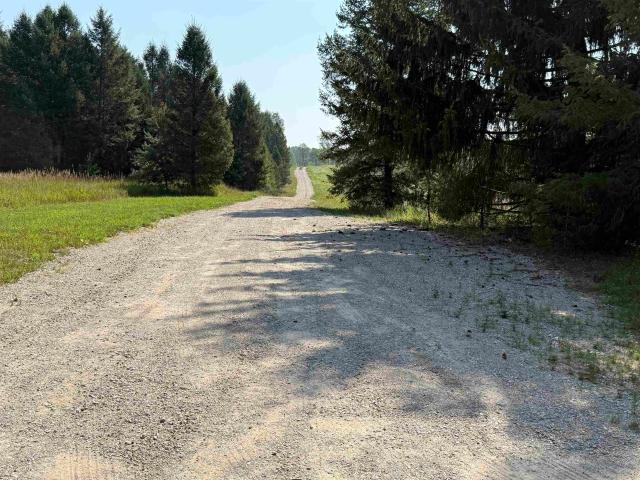 Land for sale in Michigan