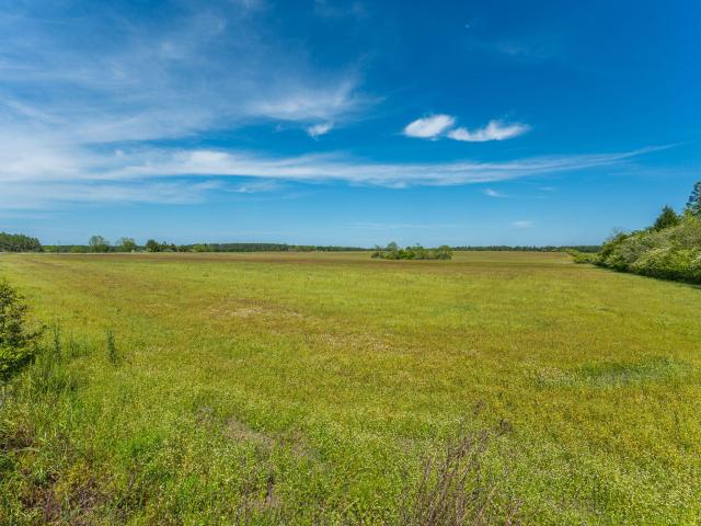 Property for sale in Walton, Florida