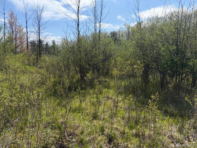 Land for sale in Tuscola, Michigan