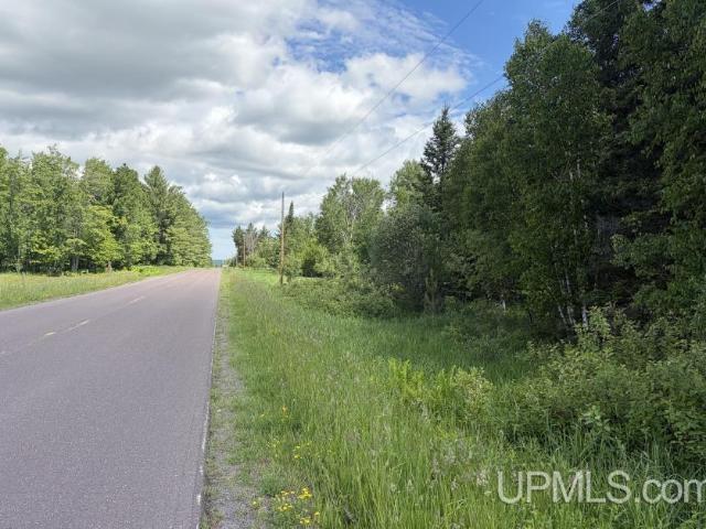 Land for sale in Michigan