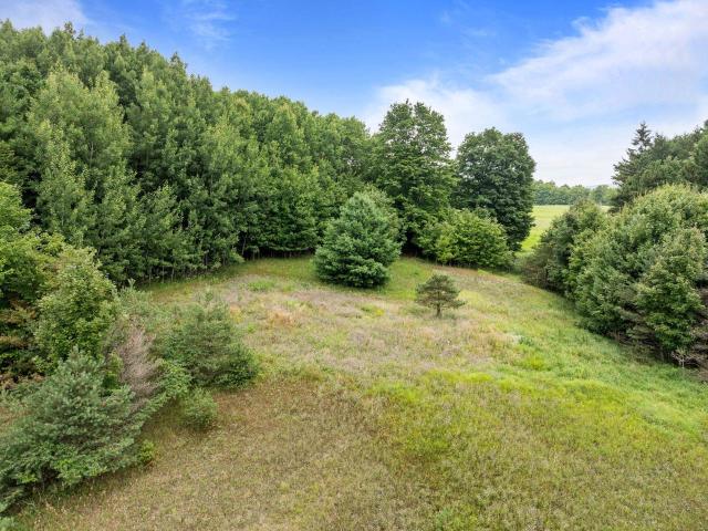 Land for sale in Michigan