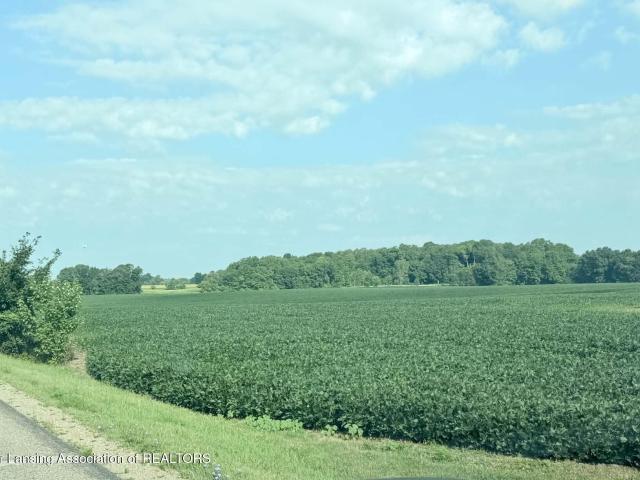 Land for sale in Eaton, Michigan