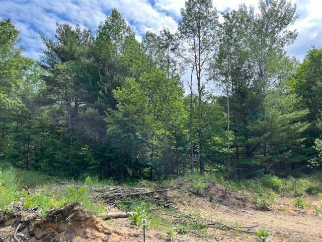Land for sale in Michigan