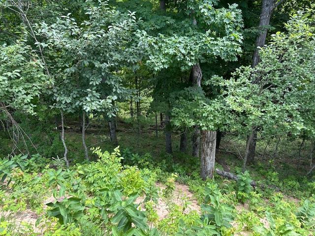 Land for sale in Arcadia, Michigan