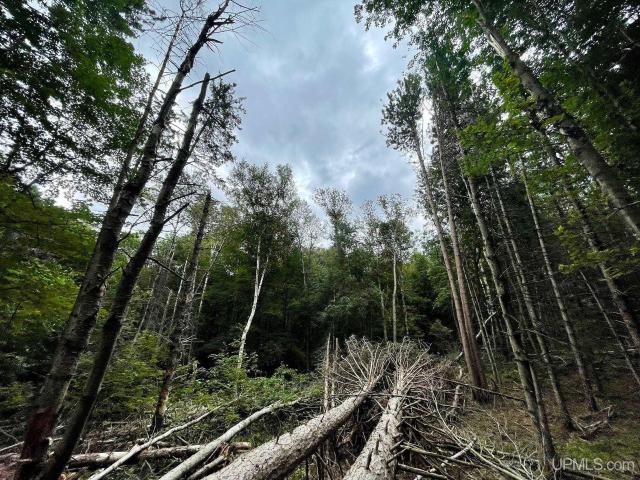 Land for sale in Marquette, Michigan