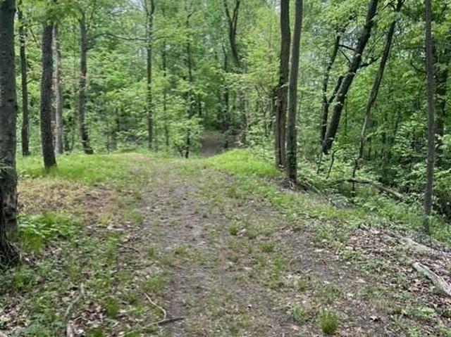Land for sale in Michigan