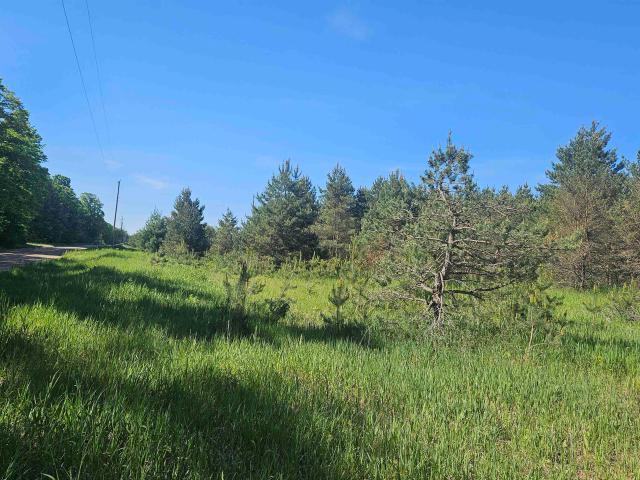 Land for sale in Alden, Michigan