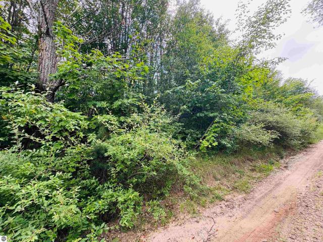 Land for sale in Michigan