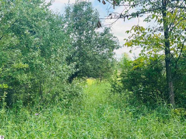 Land for sale in Michigan