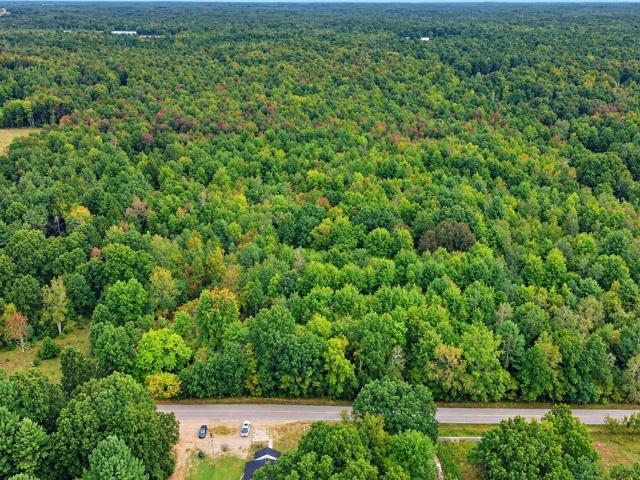 Land for sale in Pullman, Michigan