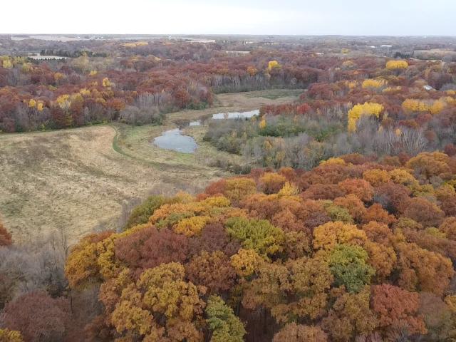 Land for sale in Wright, Minnesota
