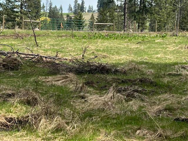 Land for sale in Stites, Idaho