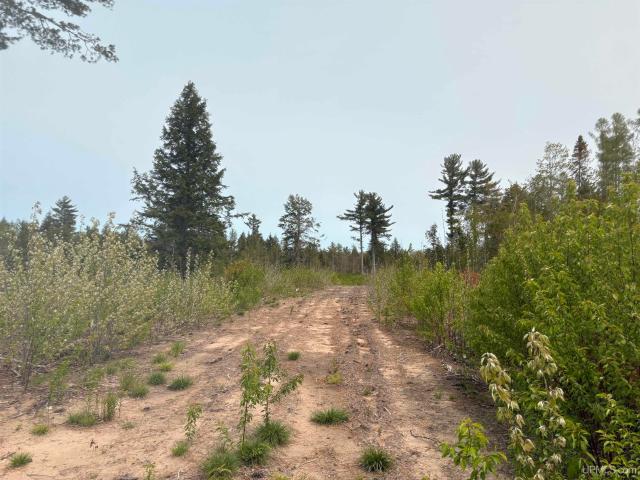 Land for sale in Michigan
