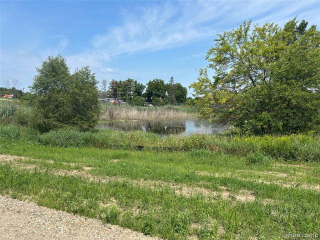 Land for sale in Michigan