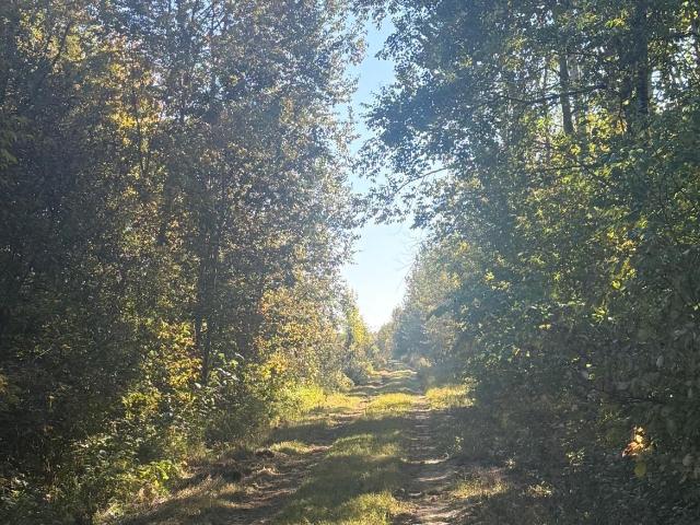 Land for sale in Kelliher, Beltrami County