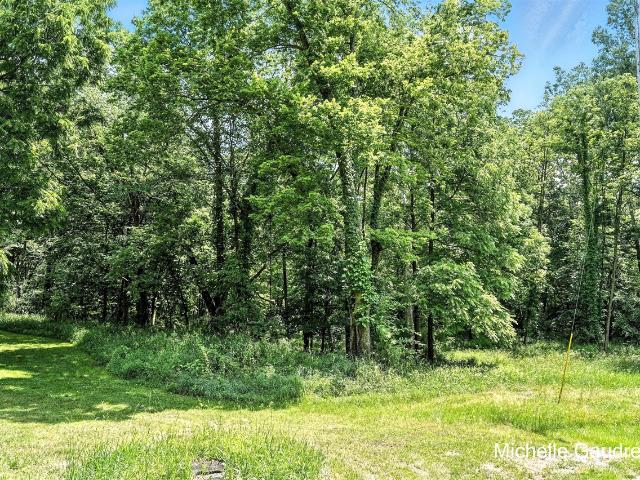 Land for sale in Michigan