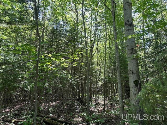 Land for sale in Grand Marais, Michigan