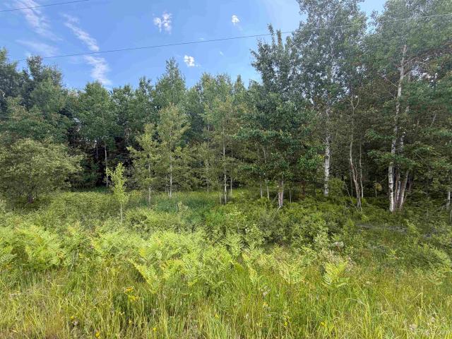 Land for sale in Michigan