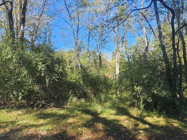 Land for sale in Fort Ashby, Mineral County