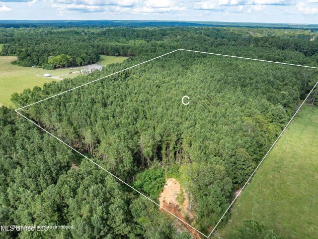 Land for sale in Petal, Mississippi