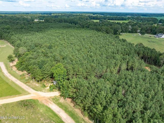 Land for sale in Petal, Mississippi