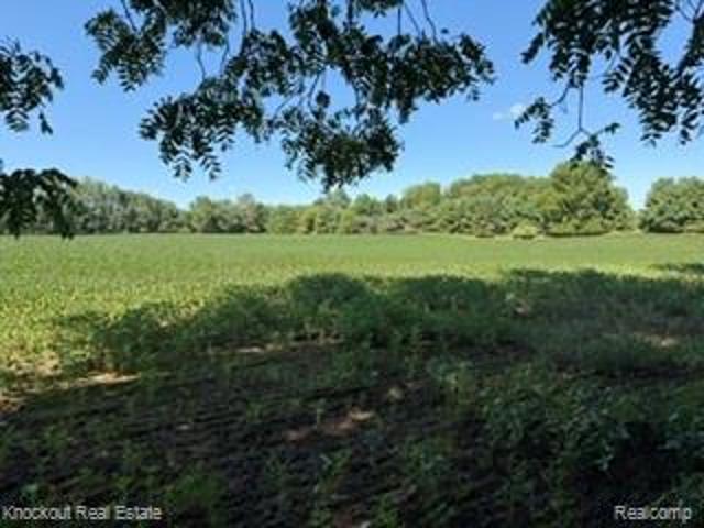 Land for sale in Tuscola, Michigan
