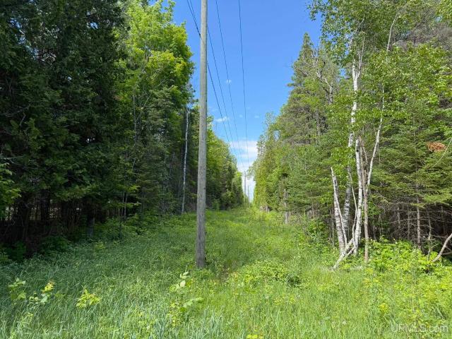 Land for sale in Michigan