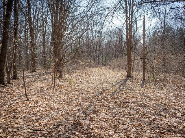 Land for sale in Michigan