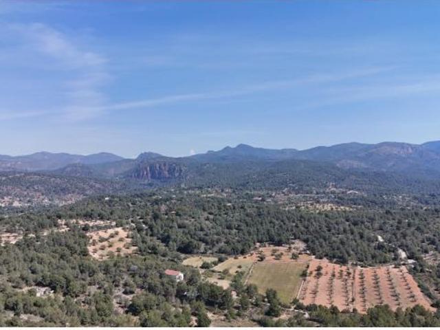 Local Comercial en venta en el Camp de Túria, Valencia