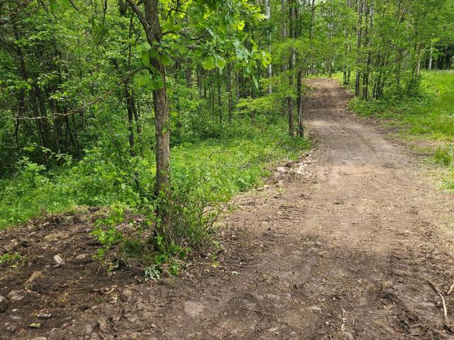 Land for sale in Minnesota