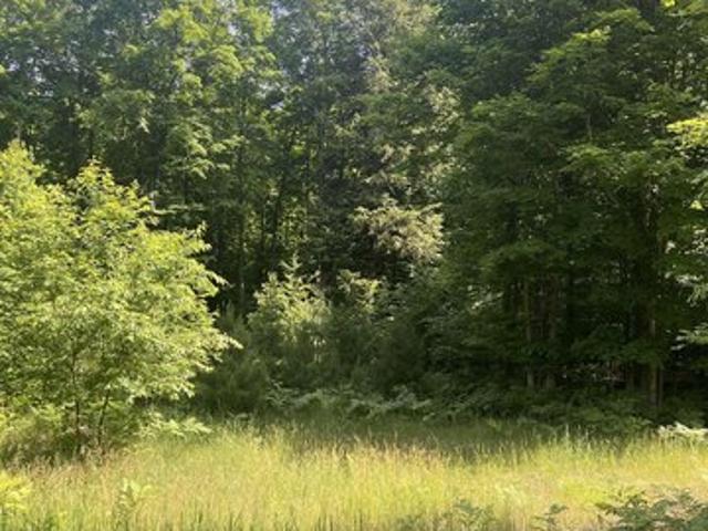 Land for sale in Williamsburg, Michigan