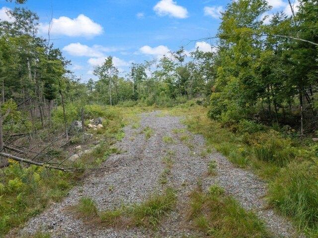 Land for sale in Newfield, Maine
