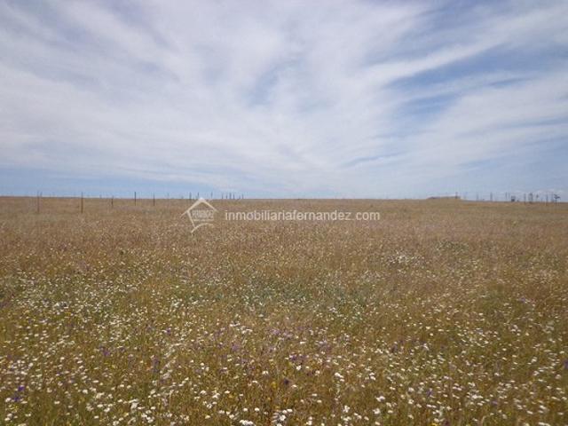 Terreno en venta en Cáceres - Sierra de Montánchez, Extremadura