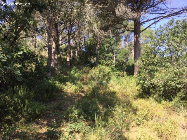 Local Comercial en venta en Sant Joan de Palamós, Baix Empordà