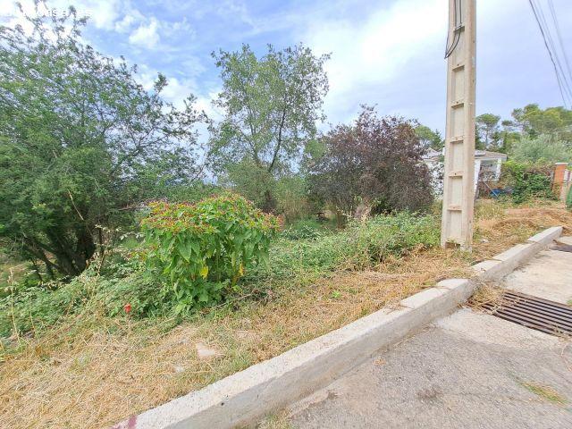 Local Comercial en venta en la Font del Bosc, Mediona