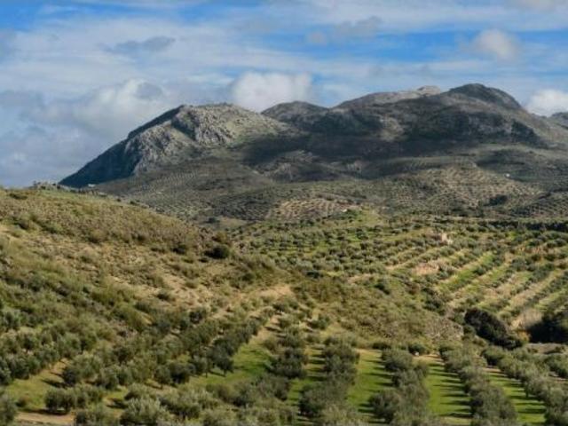 Local Comercial en venta en Jaén, Andalucía