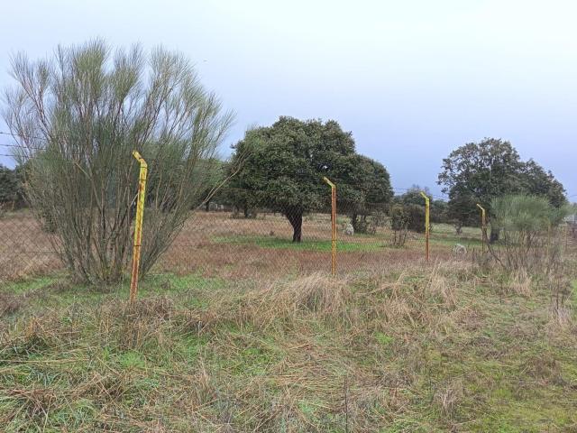 Terreno en venta en Ruiz de Luna, Talavera De La Reina