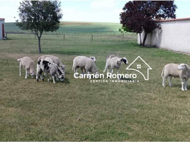 Terreno en venta en Valdunciel, Castilla y León