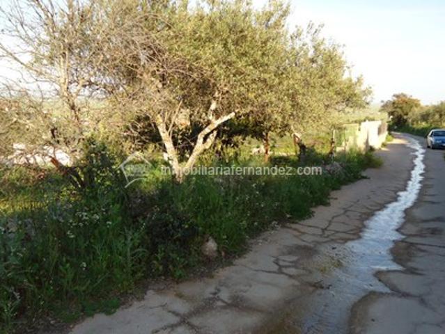 Terreno en venta en Cáceres - Sierra de Montánchez, Extremadura