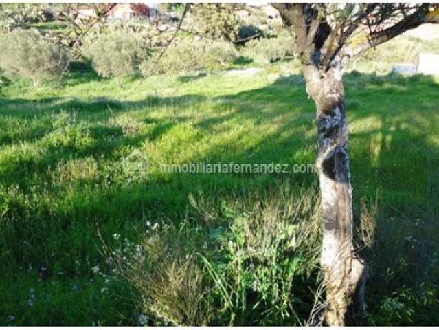 Local Comercial en venta en Cáceres - Sierra de Montánchez, Extremadura