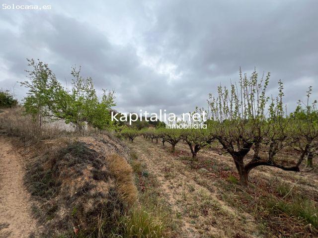 Local Comercial en venta en l'Aljorf, la Vall d'Albaida